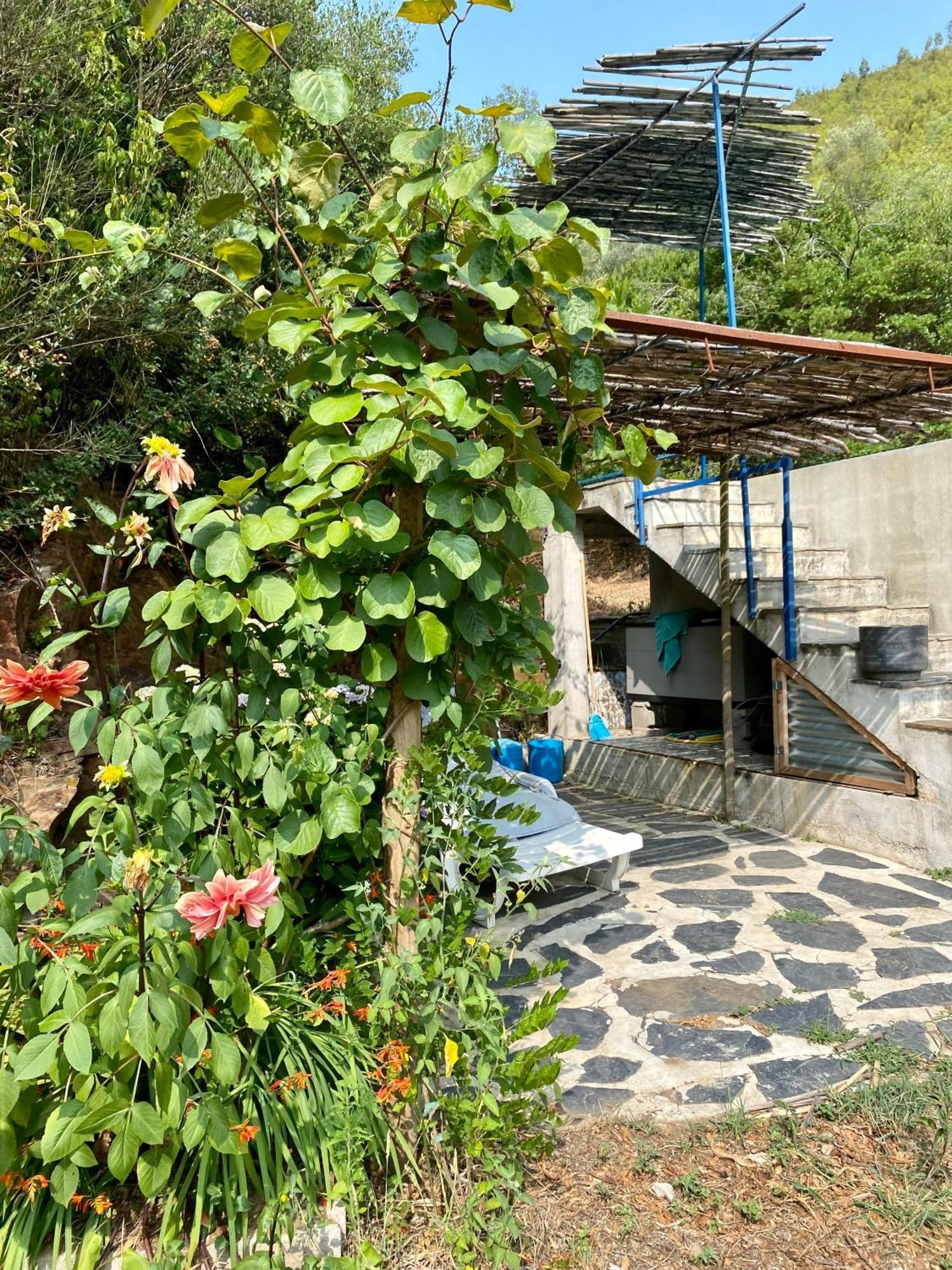 Unique Tiny House With Natural Building Techniques 피게이로 두스 비뉴스 외부 사진